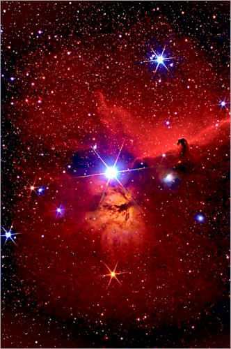 Poster Pferdekopfnebel im Sternbild Orion