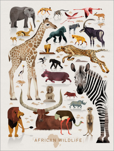 Plakat Zwierzęta afryki (angielski)