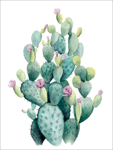 Poster Flowering cactus I