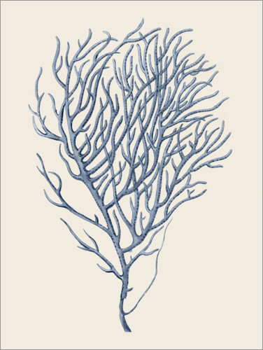 Plakat Indigo Coral VI