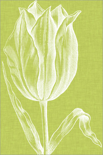 Chromatic Tulips VI print by Vision Studio | Posterlounge