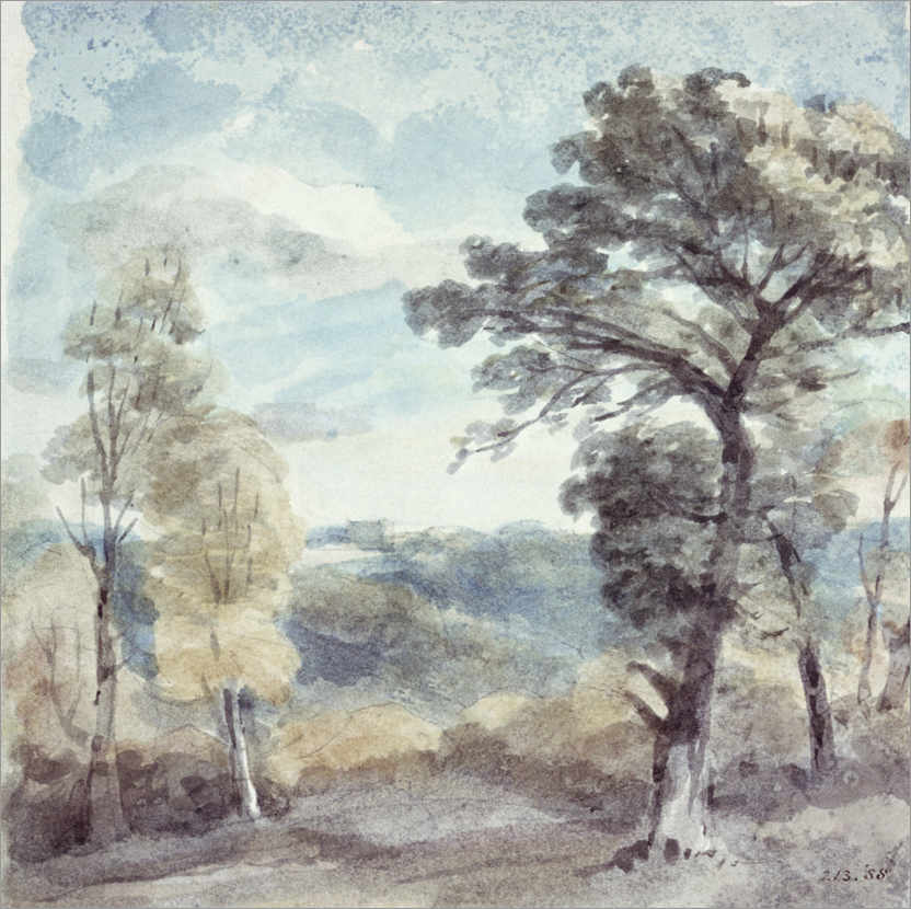 Poster Paysage avec des arbres et un manoir éloigné