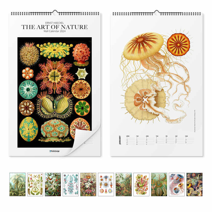 Vægkalender Ernst Haeckel kalender - The Art of Nature 2023