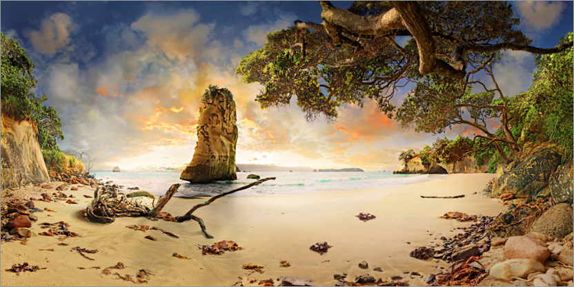 Poster Cathedral Beach avec Te Hoho Rock au coucher du soleil