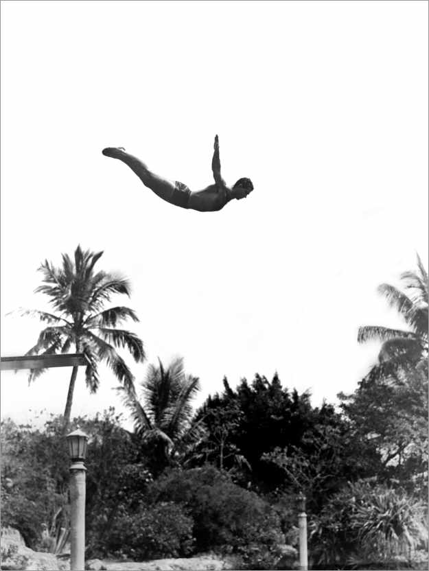 Póster Springboard diver over palm trees