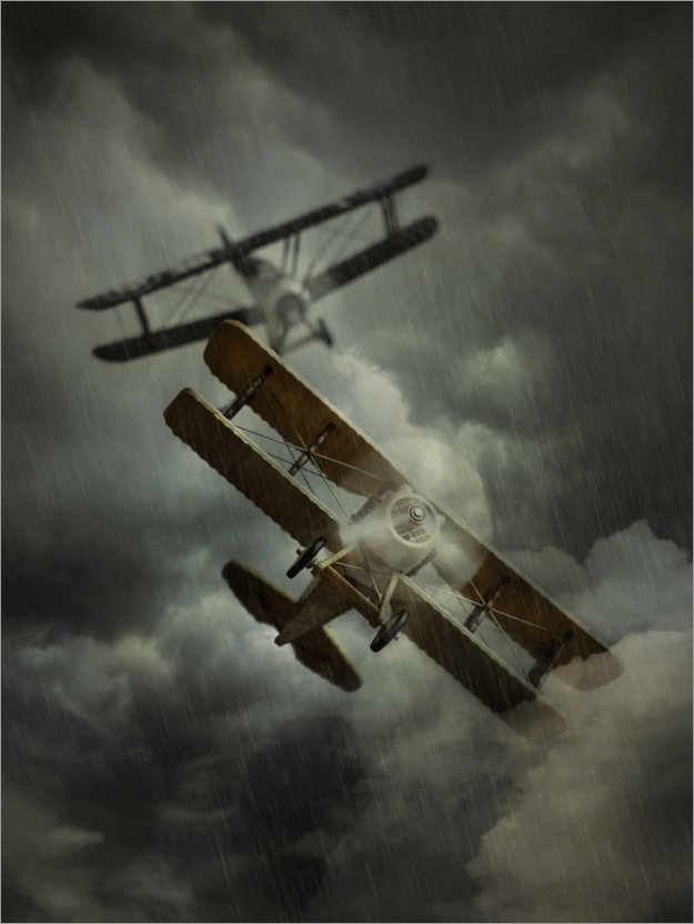 Poster Flug im Regen
