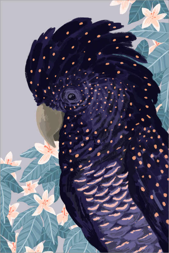 Poster Black Cockatoo