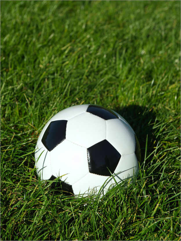 Poster Soccer ball on the grass