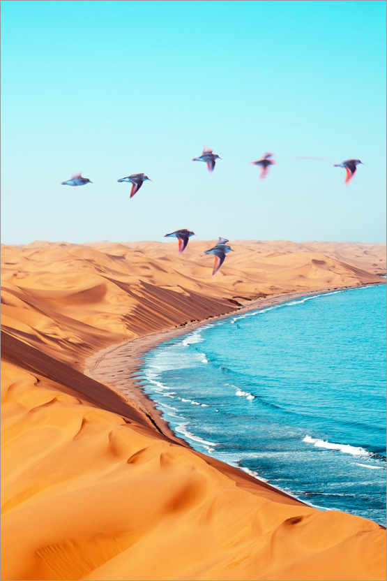 Poster Wüstenvögel