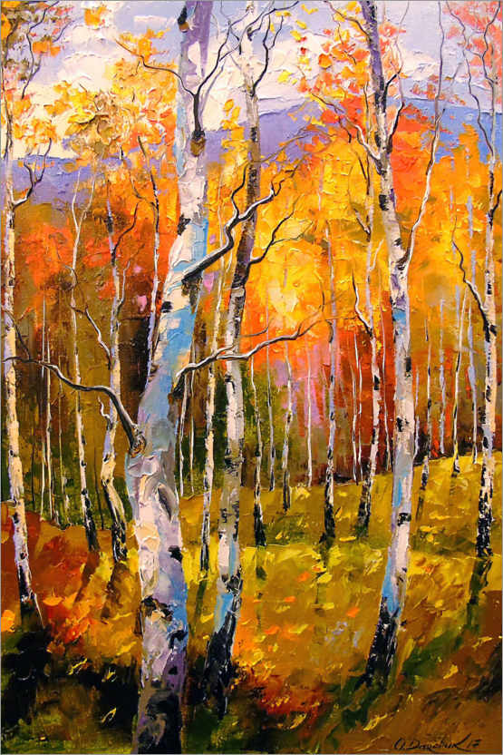 Poster Birches in the sun
