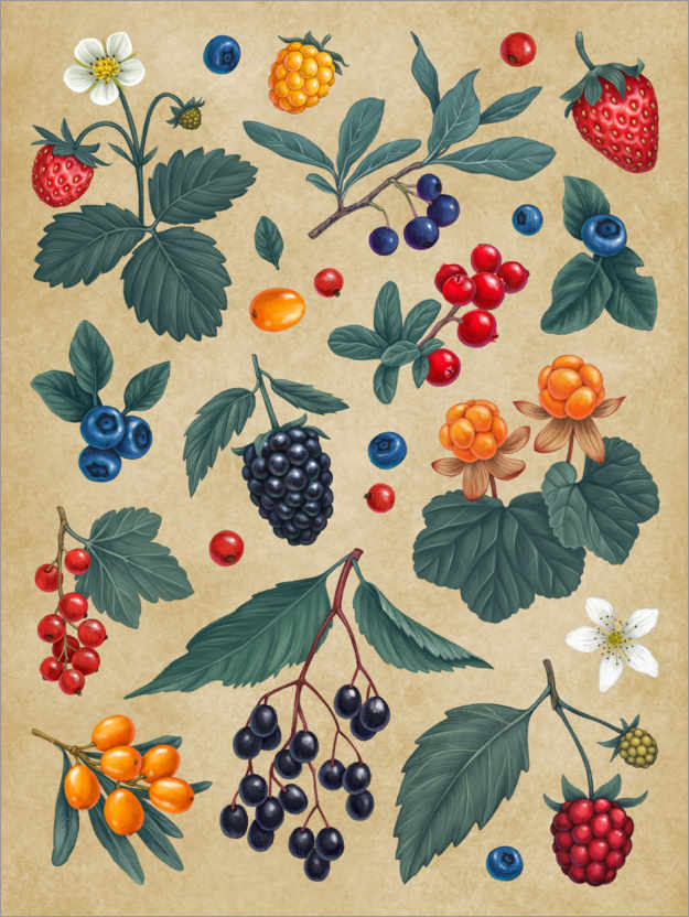Póster Forest Berries