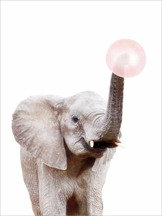 Póster Elefante con un chicle
