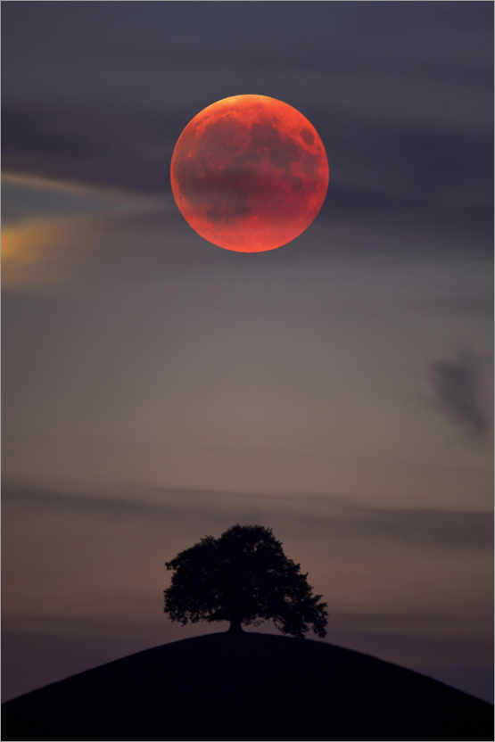 Plakat Blood moon