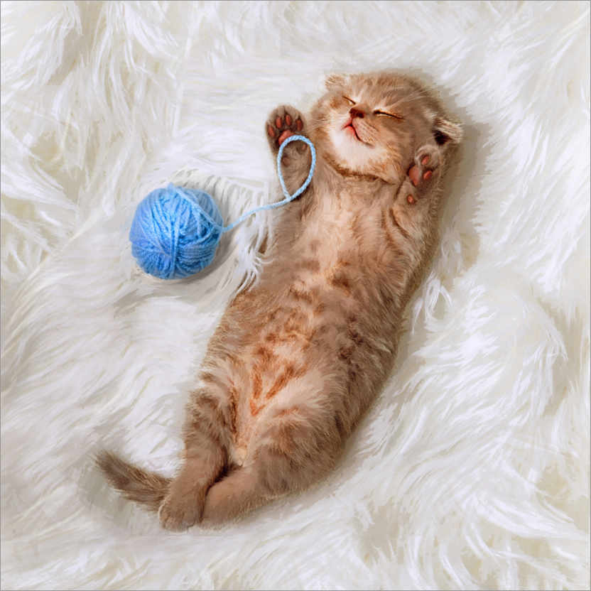 Plakat Kitten with a ball all of wool