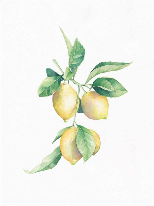 Póster Limones