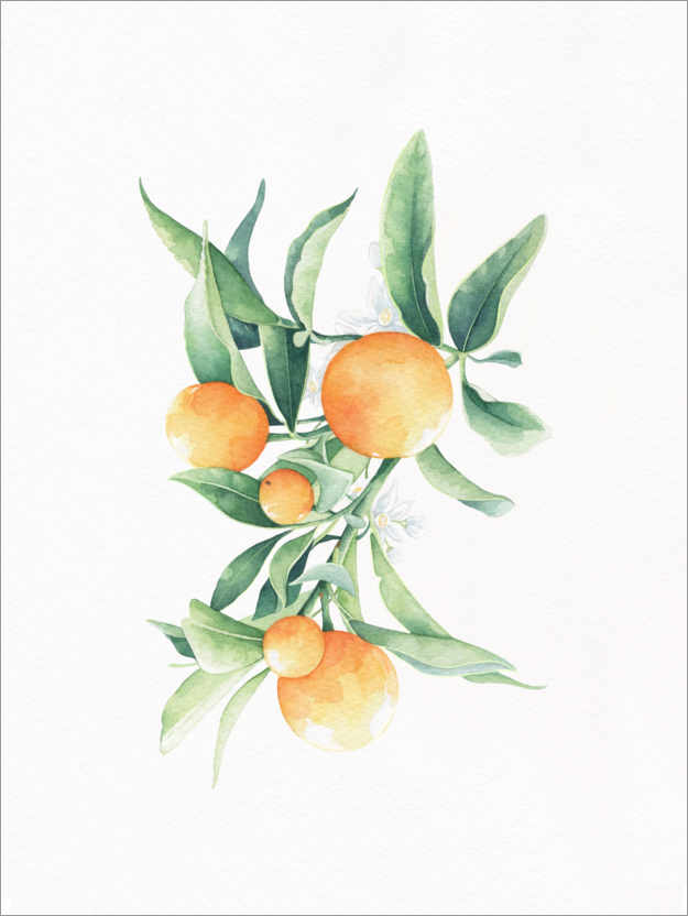 Póster Laranjas