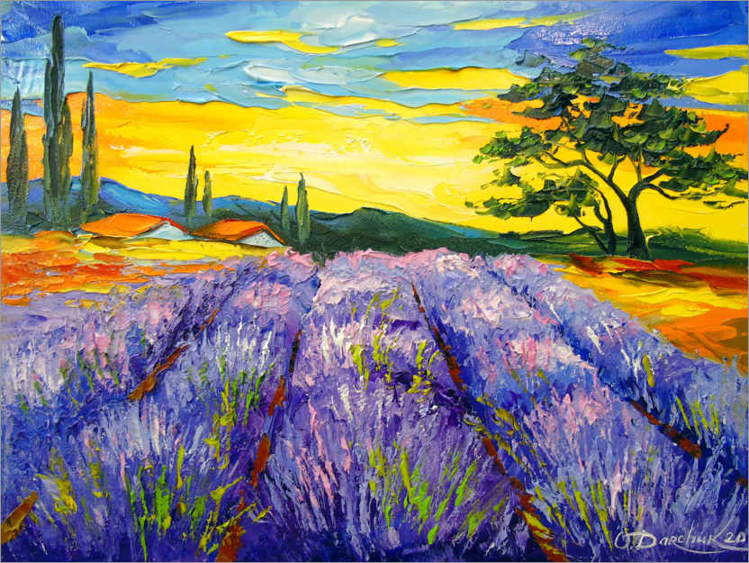 Póster Campo de lavanda