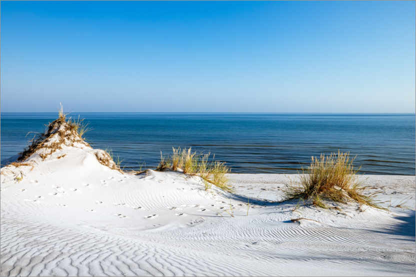 Poster Paesaggio di dune sulla costa baltica