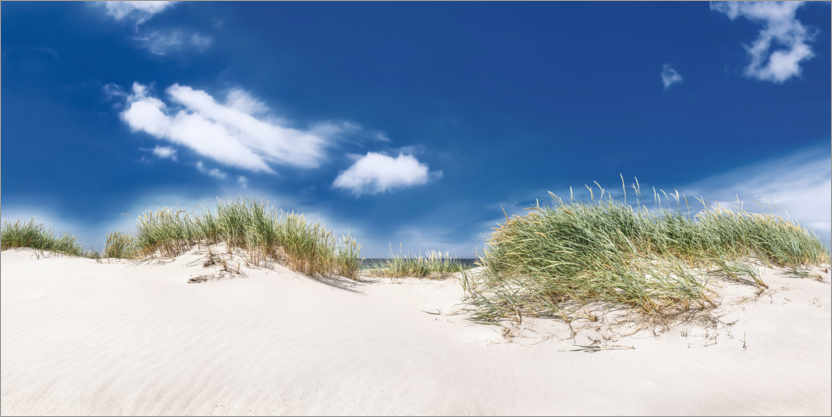 Póster Panorama del paisaje de dunas en la playa del Mar Báltico