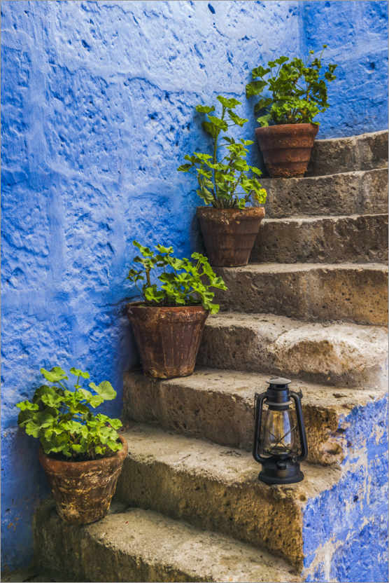 Poster Piante minimaliste e pareti blu