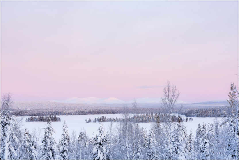 Póster Puesta de sol rosa sobre el paisaje forestal cubierto de nieve