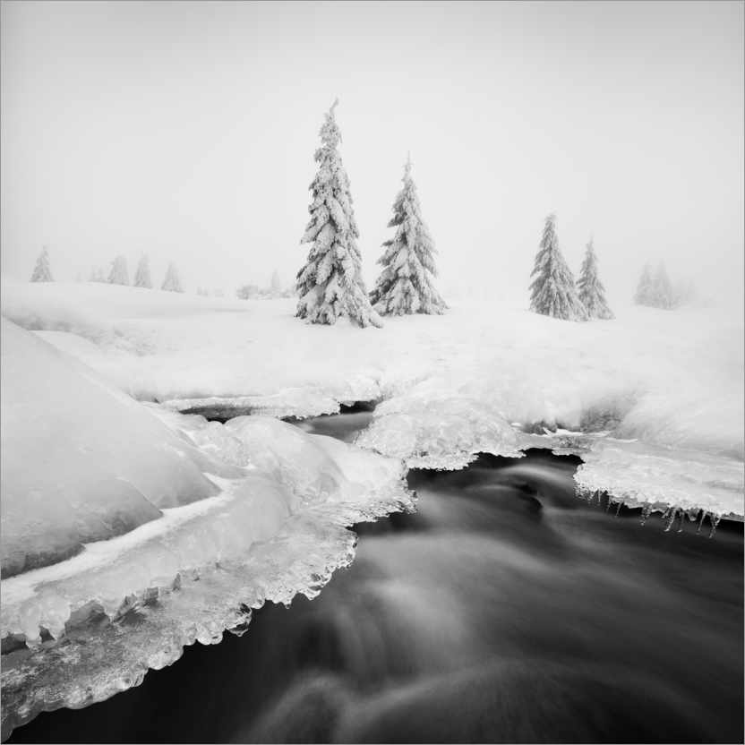 Poster Eisbach ...