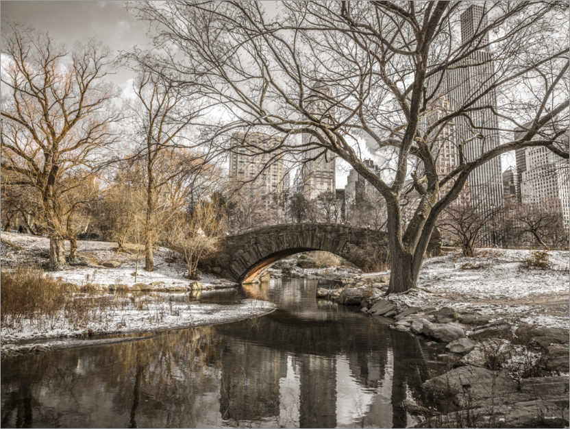 Póster Central Park New York in winter