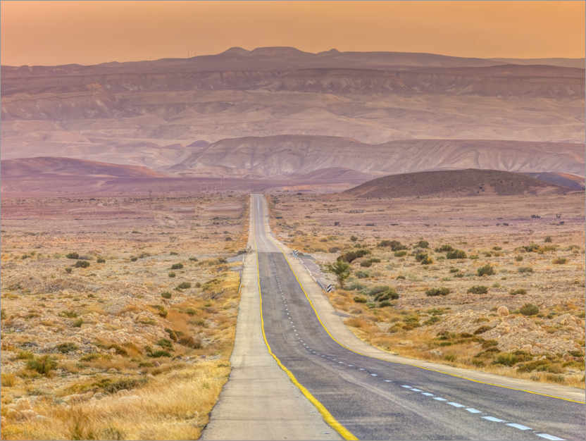 Póster Desert Road
