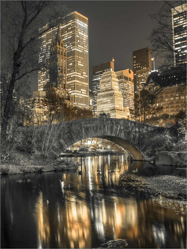 Poster Little bridge in Central Park