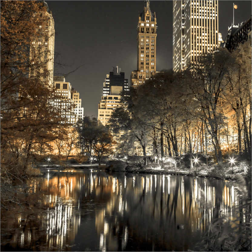 Poster Réflexions dans Central Park, NYC