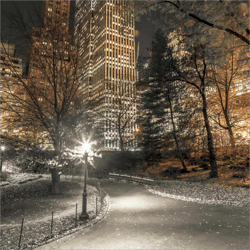 Póster Central Park de noche