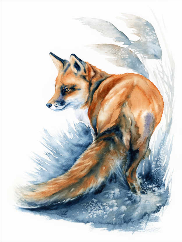 Poster Fox in the Reeds