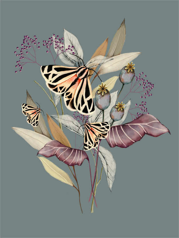Poster Floral avec des papillons III
