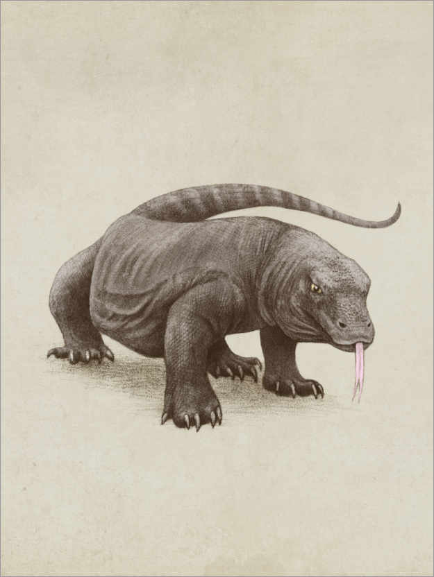 Poster Komodo dragon