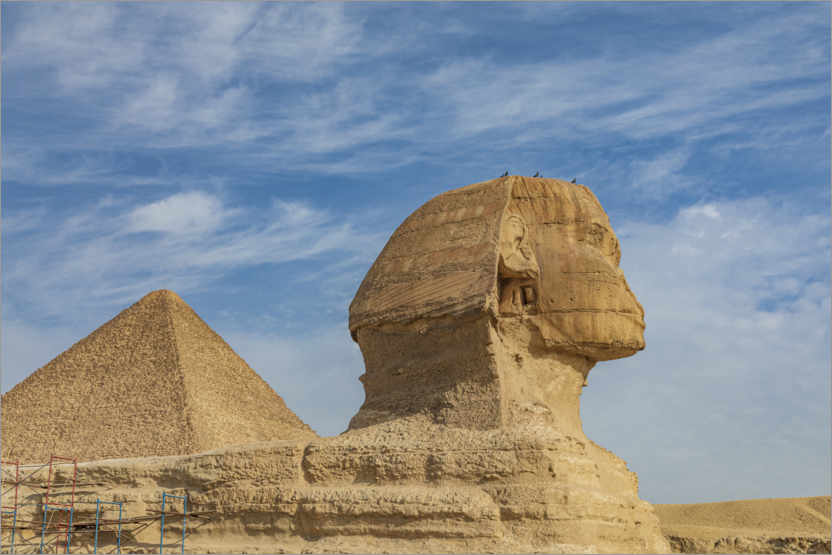 Poster Giza pyramid