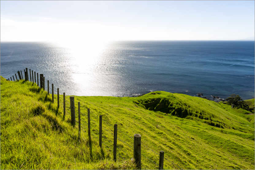 Poster Green meadows & blue sea in New Zealand