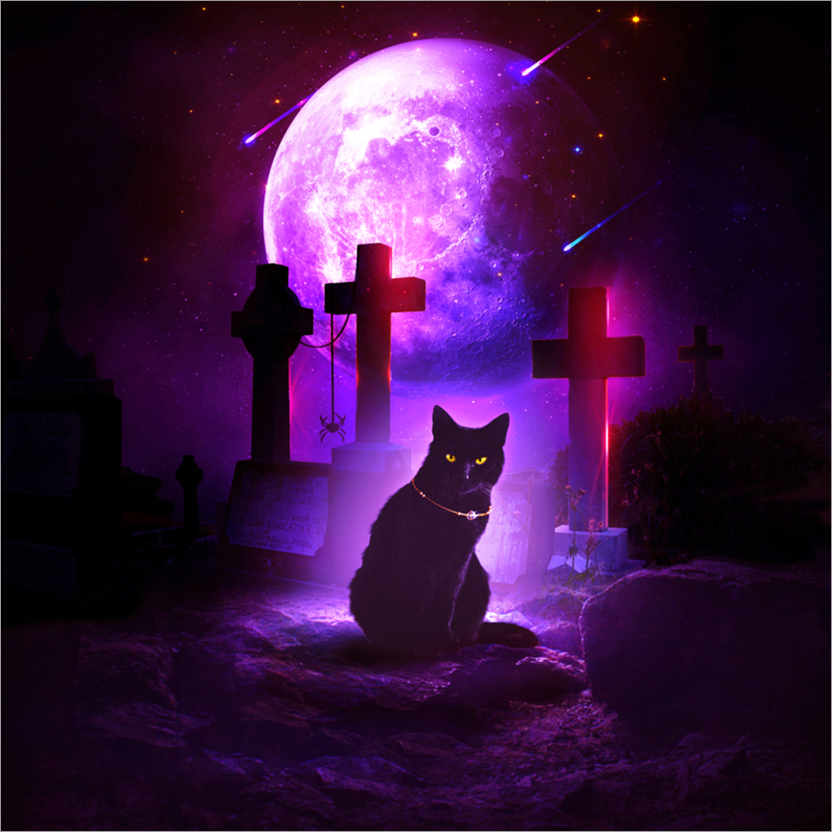 Poster Halloween cat