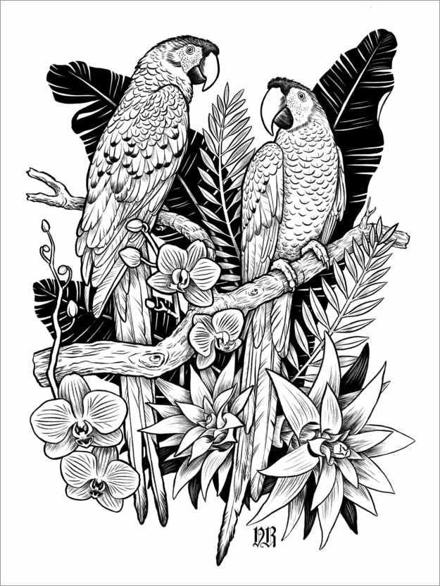 Poster Macaws