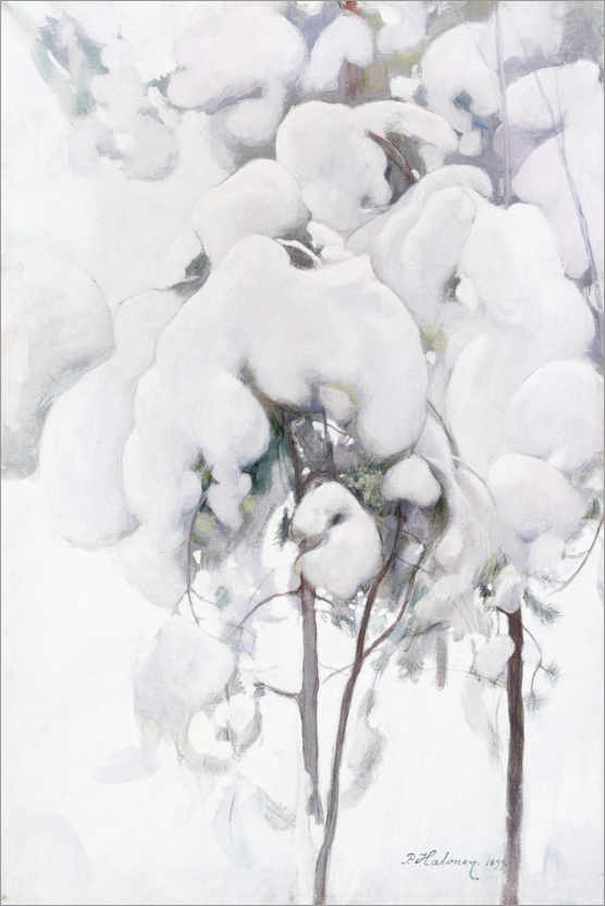 Poster Snow-covered pine