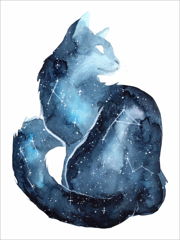 Poster Constellation Cat