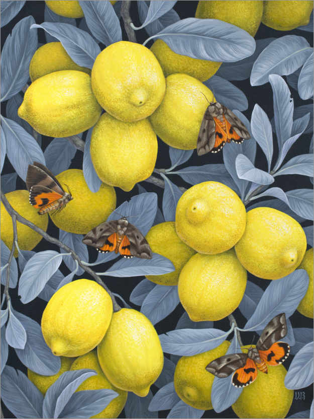 Poster Ripe for the Picking