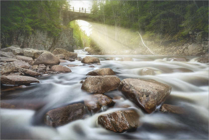 Poster A magic bridge in the light