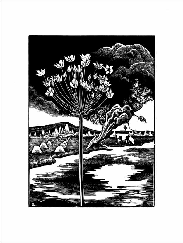 Poster Schwan Blume in einer Landschaft