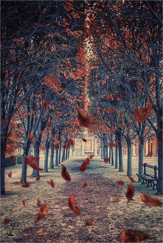 Poster Palais-Royal Garten