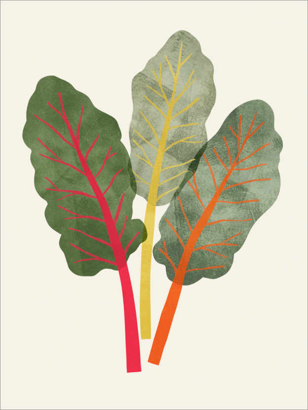 Poster Organic Veg V