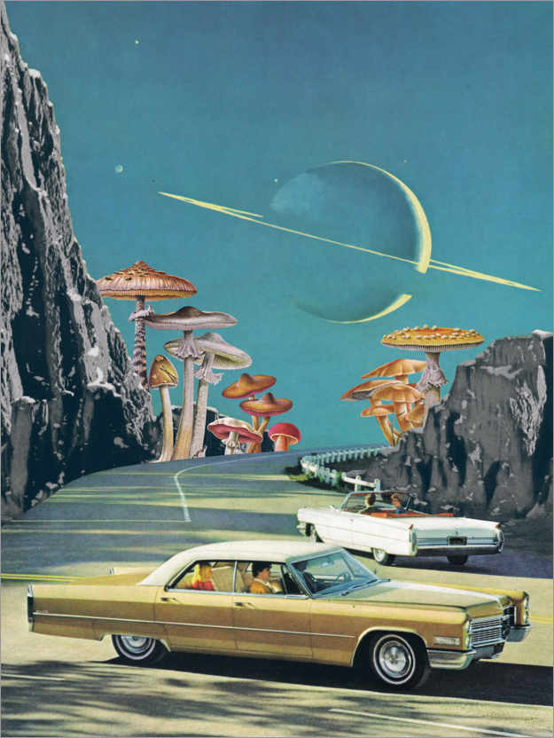 Poster Magical Road
