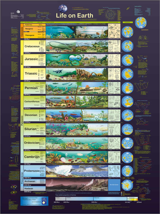 Poster La vie sur la Terre (anglais)