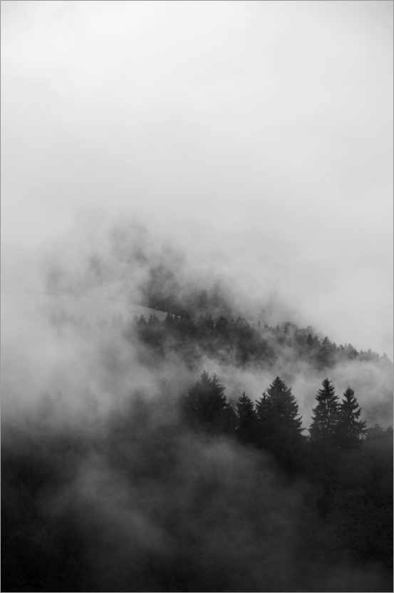 Poster Schwarze Wälder in Nebel und Wolken