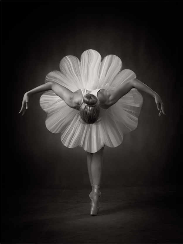 Póster Floral Ballet