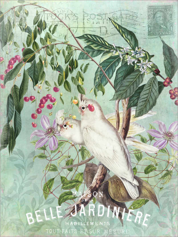 Poster Exotic Bird Cockatoo